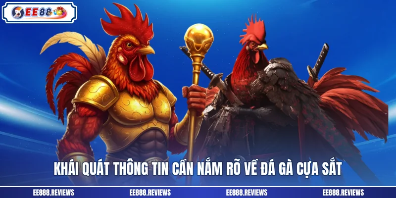 Khái quát thông tin cần nắm rõ về đá gà cựa sắt