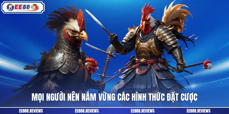 Mọi người nên lên kế hoạch vốn cược khi chơi